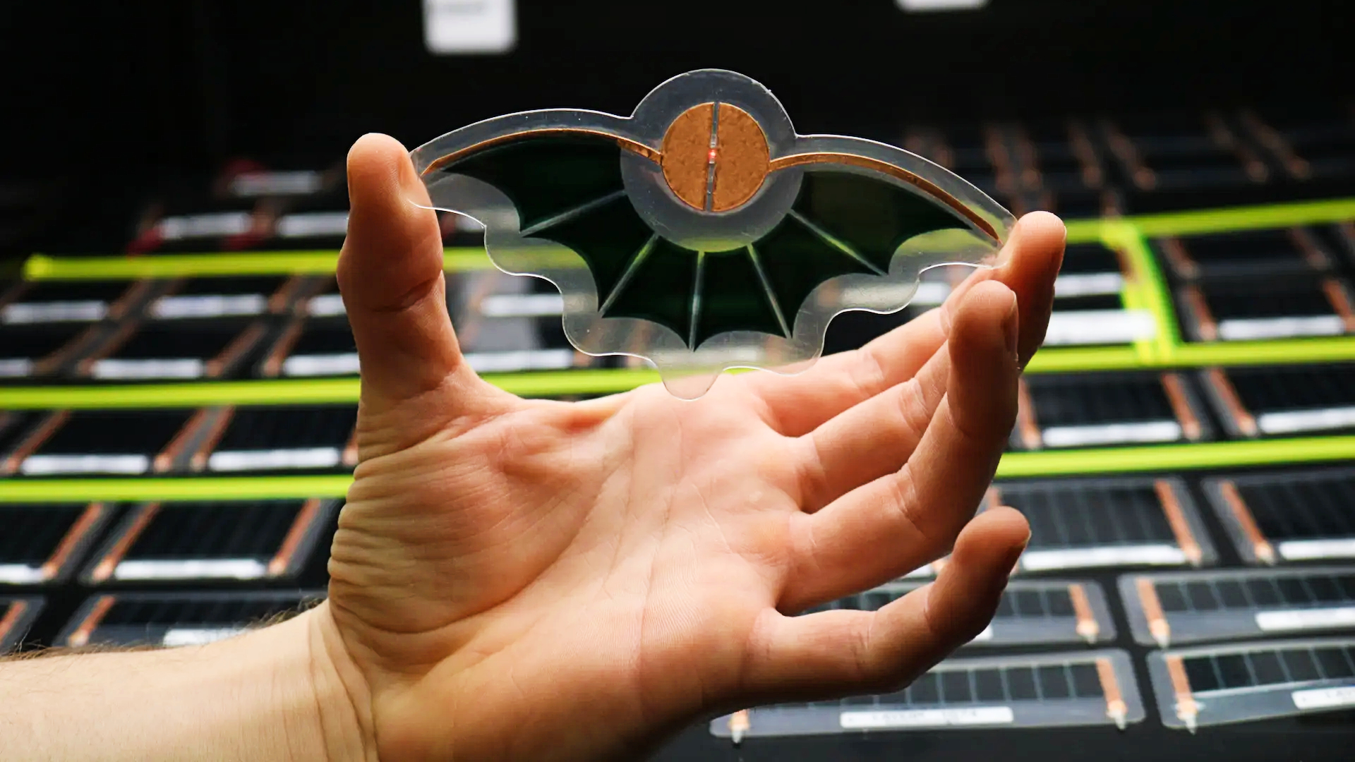 Ambient Storage: The Essential Solution for Non-Perishable Goods